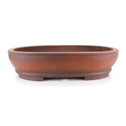 Bonsai pot JTA8627 IZUMI-YA ZENIGO