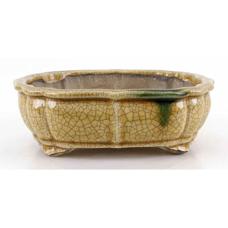 Bonsai pot JTA8631 TERAHATA SATOMI