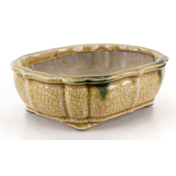 Bonsai pot JTA8631 TERAHATA SATOMI view 2