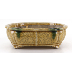 Bonsai pot JTA8630 TERAHATA SATOMI