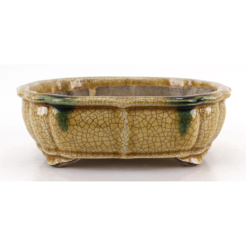 Bonsai pot JTA8630 TERAHATA SATOMI