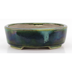 Bonsai pot JTA8633 TERAHATA SATOMI