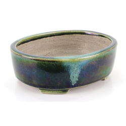 Bonsai pot JTA8633 TERAHATA SATOMI view 2