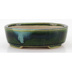 Bonsai pot JTA8635 TERAHATA SATOMI