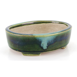 Bonsai pot JTA8635 TERAHATA SATOMI view 2