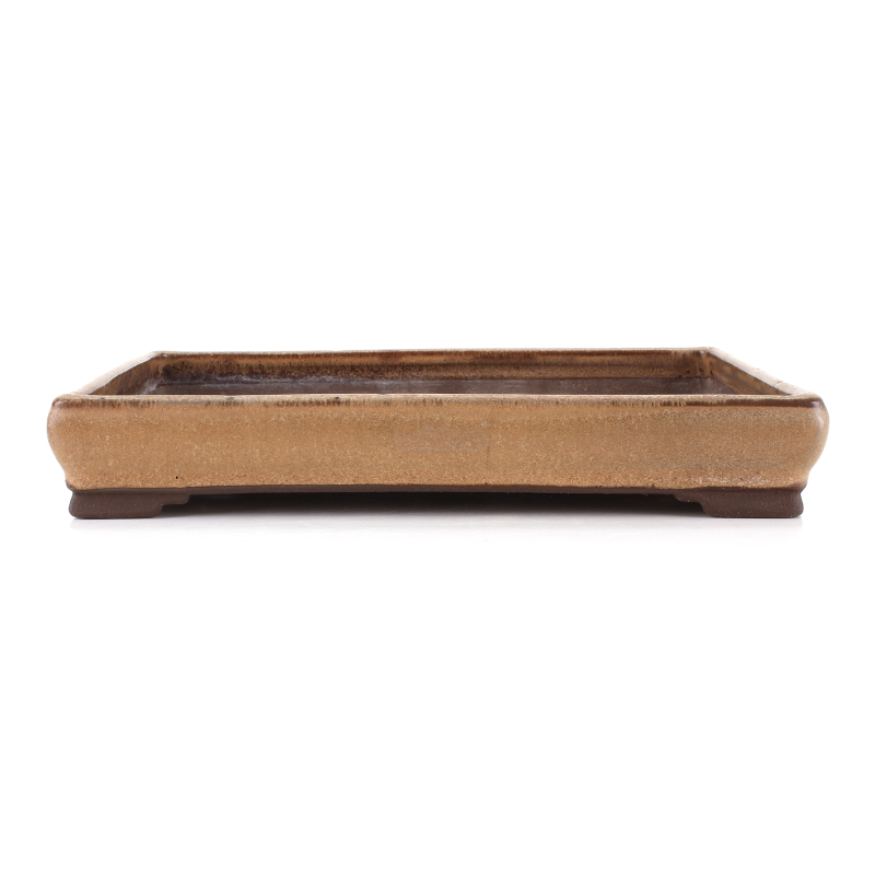 Bonsai pot JTA8668 TOSUI MASAO
