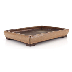 Bonsai pot JTA8668 TOSUI MASAO view 2