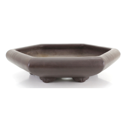 Bonsai pot JTA8661 SENKOUEN view 2