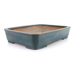 Bonsai pot JTA8656 KOYO KOUICHIROU view 2