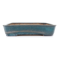 Bonsai pot JTA8656 KOYO KOUICHIROU