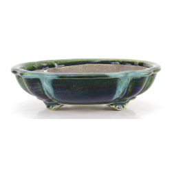 Bonsai pot JTA8642 TERAHATA SATOMI