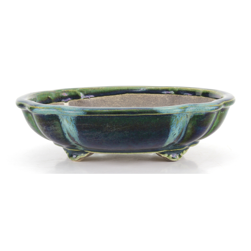 Bonsai pot JTA8642 TERAHATA SATOMI