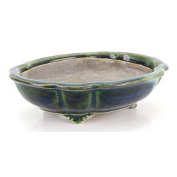 Bonsai pot JTA8642 TERAHATA SATOMI view 2