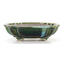 Bonsai pot JTA8641 TERAHATA SATOMI