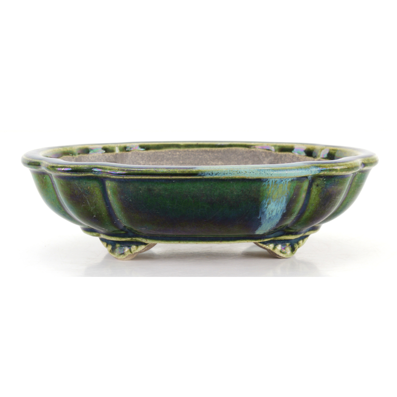 Bonsai pot JTA8641 TERAHATA SATOMI