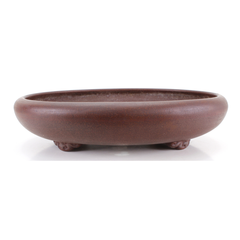 Bonsai pot JTA8677 TAZAN