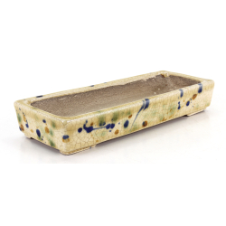 Bonsai pot JTA8643 TERAHATA SATOMI view 2