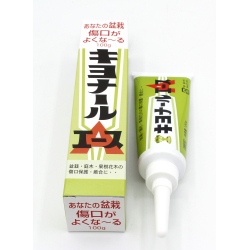 Tree sealer Kiyonal Ace 100 g