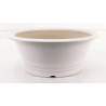 Bonsai pot FCH125 ZHANG ZHICHENG