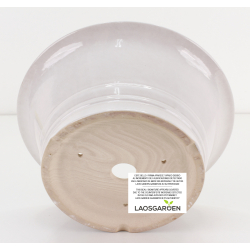 Bonsai pot FCH125 ZHANG ZHICHENG view 3