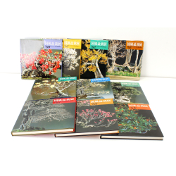 Pack libros Kokufu década 1980 vista 2