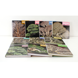 Kokufu exhibition book pack, 2000s view 2