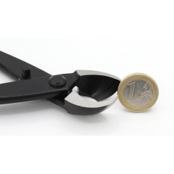 T-Rex M semi-curved concave brach cutter 210 mm view 2