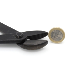 T-Rex M tilted plier 210 mm view 2