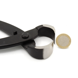 Podadora de raíces XL T-Rex 270 mm vista 2