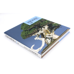 Kokufu 99 exhibition book -2025- view 2