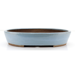 Bonsai pot JTA8694 EJIRI TAIZAN