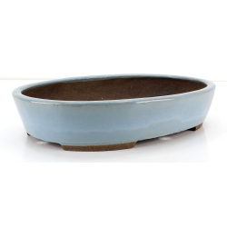 Bonsai pot JTA8694 EJIRI TAIZAN view 2