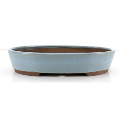 Bonsai pot JTA8693 EJIRI TAIZAN