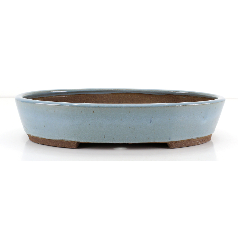 Maceta bonsái JTA8693 EJIRI TAIZAN