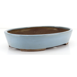 Bonsai pot JTA8693 EJIRI TAIZAN view 2