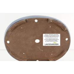 Bonsai pot JTA8691 EJIRI TAIZAN view 3