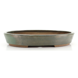 Bonsai pot JTA8690 EJIRI TAIZAN