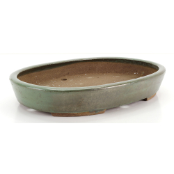 Bonsai pot JTA8690 EJIRI TAIZAN view 2