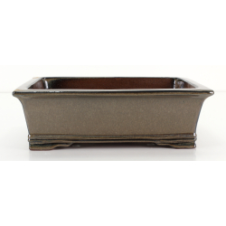 Bonsai pot CHN24A