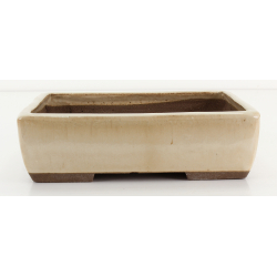 Bonsai pot JTA8685 EJIRI TAIZAN