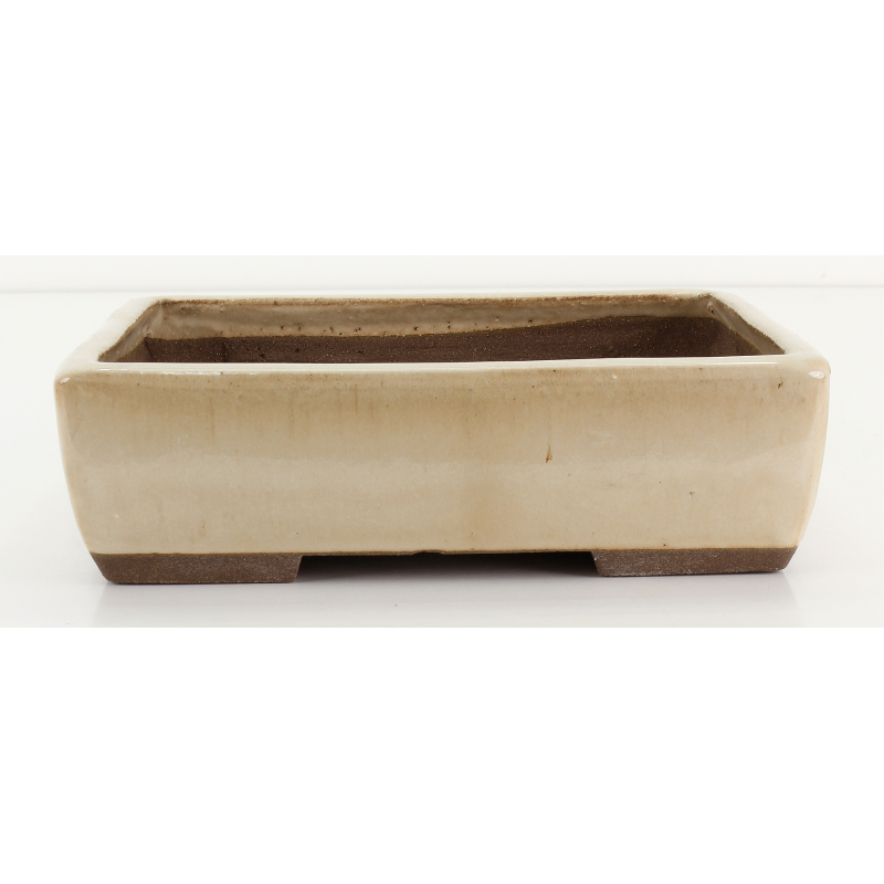 Bonsai pot JTA8685 EJIRI TAIZAN