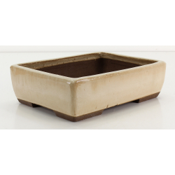 Bonsai pot JTA8685 EJIRI TAIZAN view 2