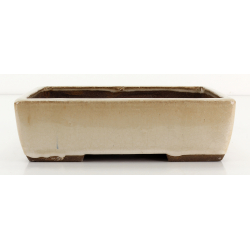 Bonsai pot JTA8686 EJIRI TAIZAN
