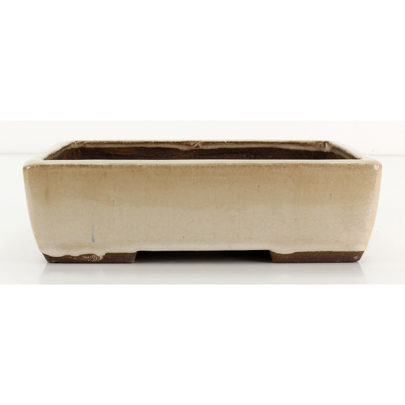 Bonsai pot JTA8686 EJIRI TAIZAN