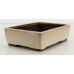 Bonsai pot JTA8686 EJIRI TAIZAN view 2