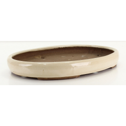 Bonsai pot JTA8696 EJIRI TAIZAN view 2