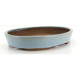 Bonsai pot JTA8683 EJIRI TAIZAN view 2