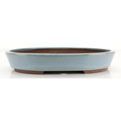 Bonsai pot JTA8684 EJIRI TAIZAN