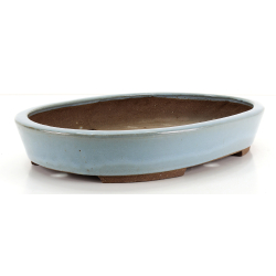 Bonsai pot JTA8684 EJIRI TAIZAN view 2