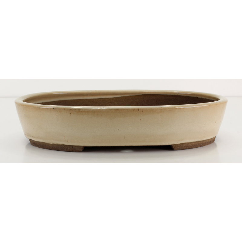 Bonsai pot JTA8682 EJIRI TAIZAN